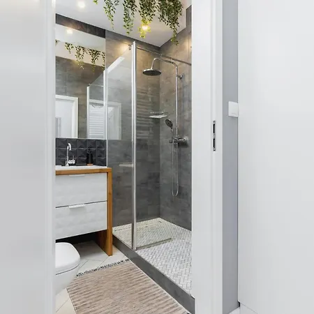 Apartment Old Town Rajska Dolnych Mlynow Center